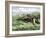 Native American Bow-Hunting Pronghorn Antelope on the Great Plains-null-Framed Giclee Print