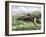 Native American Bow-Hunting Pronghorn Antelope on the Great Plains-null-Framed Giclee Print