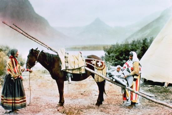 native american horse travois