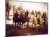 Native American Indian Tribal Leaders, 1900-Science Source-Mounted Giclee Print
