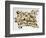 Native American Painting on Animal Skin, 19th Century-null-Framed Giclee Print