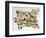 Native American Painting on Animal Skin, 19th Century-null-Framed Giclee Print