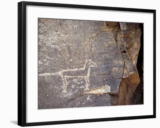 Native American Petroglyph of a Coyote or a Wolf Near Galisteo, New Mexico-null-Framed Photographic Print