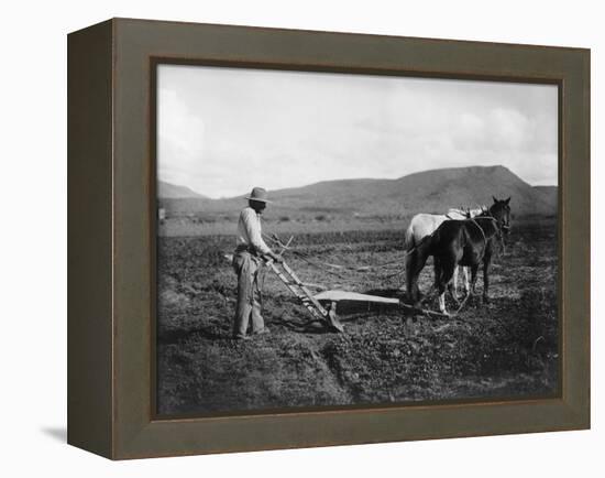 Native American Plowing His Field Photograph - Sacaton Indian Reservation, AZ-Lantern Press-Framed Stretched Canvas