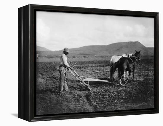 Native American Plowing His Field Photograph - Sacaton Indian Reservation, AZ-Lantern Press-Framed Stretched Canvas