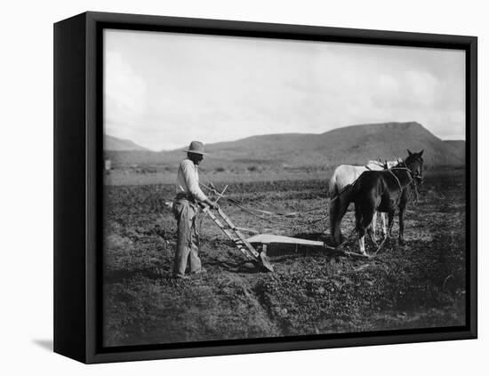 Native American Plowing His Field Photograph - Sacaton Indian Reservation, AZ-Lantern Press-Framed Stretched Canvas