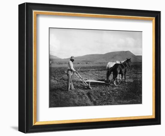 Native American Plowing His Field Photograph - Sacaton Indian Reservation, AZ-Lantern Press-Framed Art Print