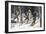 Native American Trappers Carrying Furs on Snowshoes in a Forest of the Pacific Northwest-null-Framed Premium Giclee Print