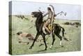 Stretched Canvas Print