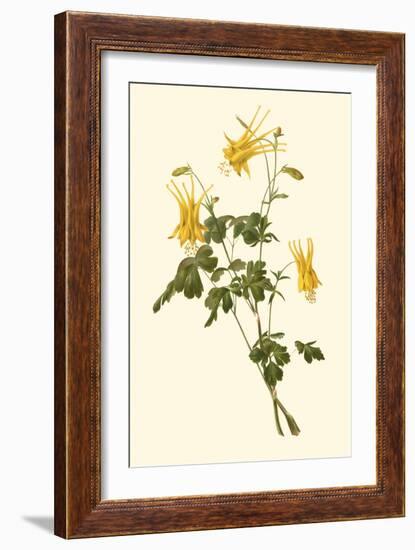 Native Beauty III-Louis Prang-Framed Art Print