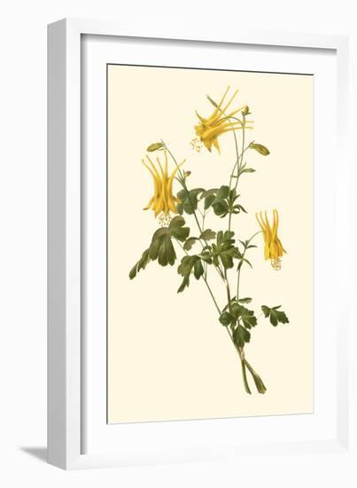 Native Beauty III-Louis Prang-Framed Art Print