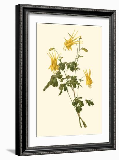 Native Beauty III-Louis Prang-Framed Art Print