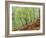 Native Birch Woodland in Autumn, Glenstrathfarrar Nnr, Scotland, UK-Pete Cairns-Framed Photographic Print