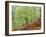 Native Birch Woodland in Autumn, Glenstrathfarrar Nnr, Scotland, UK-Pete Cairns-Framed Photographic Print