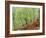 Native Birch Woodland in Autumn, Glenstrathfarrar Nnr, Scotland, UK-Pete Cairns-Framed Photographic Print