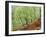 Native Birch Woodland in Autumn, Glenstrathfarrar Nnr, Scotland, UK-Pete Cairns-Framed Photographic Print