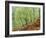 Native Birch Woodland in Autumn, Glenstrathfarrar Nnr, Scotland, UK-Pete Cairns-Framed Photographic Print