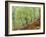 Native Birch Woodland in Autumn, Glenstrathfarrar Nnr, Scotland, UK-Pete Cairns-Framed Photographic Print