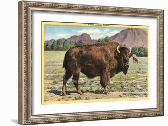 Native Buffalo-null-Framed Premium Giclee Print