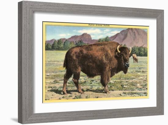 Native Buffalo-null-Framed Art Print