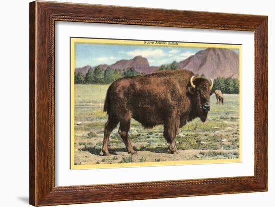 Native Buffalo-null-Framed Art Print