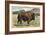 Native Buffalo-null-Framed Art Print