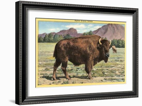 Native Buffalo-null-Framed Art Print