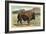 Native Buffalo-null-Framed Art Print