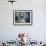 Native Dancer in Mask and Headdress, La Paz, Bolivia-Jim Zuckerman-Framed Photographic Print displayed on a wall