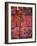 Native Indian Artwork, Mola, Panama-Bill Bachmann-Framed Photographic Print