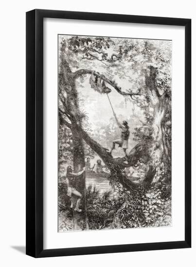 Native Indians Capturing a Tree Sloth on the Oyapock or Oiapoque River, South America-null-Framed Giclee Print