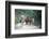 Native people on horses, Costa Rica-null-Framed Art Print