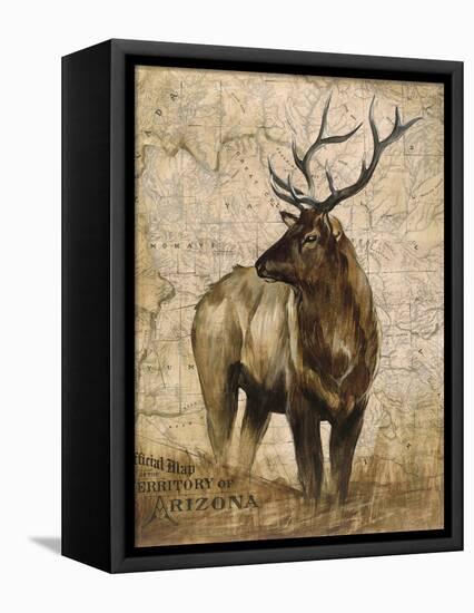 Native Spirit 2-Elizabeth Hope-Framed Premier Image Canvas