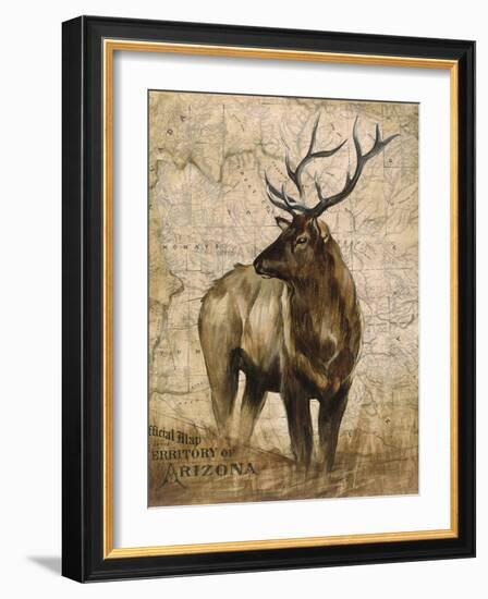 Native Spirit 2-Elizabeth Hope-Framed Giclee Print