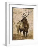 Native Spirit 2-Elizabeth Hope-Framed Giclee Print