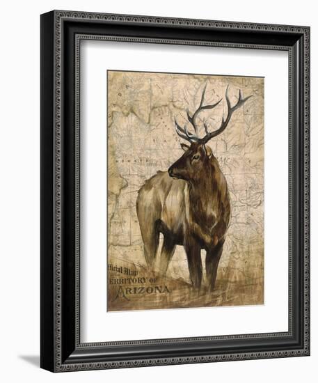 Native Spirit 2-Elizabeth Hope-Framed Giclee Print