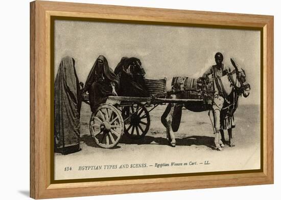 Native Transport in Egypt-null-Framed Premier Image Canvas