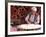 Native Woman Baking Bread in Istanbul, Turkey-Bill Bachmann-Framed Photographic Print