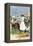 Native Woman Shopping in a Farmer's Market, Jamaica, c.1890-null-Framed Premier Image Canvas