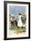 Native Woman Shopping in a Farmer's Market, Jamaica, c.1890-null-Framed Giclee Print