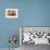 Native Woman, Tombs of the Concubines, Jaiselmer, Rajasthan, India-Jaynes Gallery-Framed Photographic Print displayed on a wall