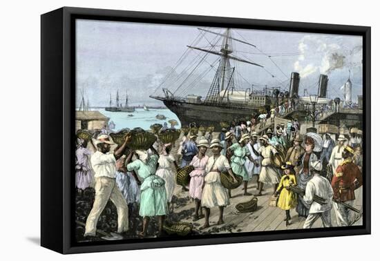 Native Women Carrying Coal onto a Steamship at Kingston, Jamaica, 1880s-null-Framed Premier Image Canvas