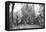 Native Women with Baskets of Hippo Meat, Karoo, South Africa, 1924-Thomas A Glover-Framed Premier Image Canvas