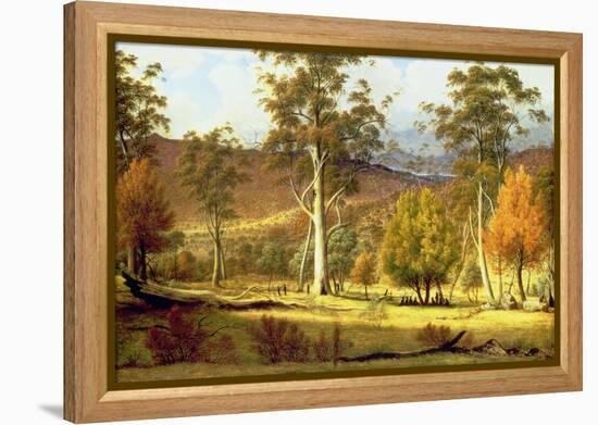 Natives in the Eucalypt Forest on Mills Plains, Patterdale Farm-John Glover-Framed Premier Image Canvas