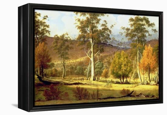 Natives in the Eucalypt Forest on Mills Plains, Patterdale Farm-John Glover-Framed Premier Image Canvas