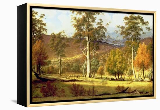 Natives in the Eucalypt Forest on Mills Plains, Patterdale Farm-John Glover-Framed Premier Image Canvas