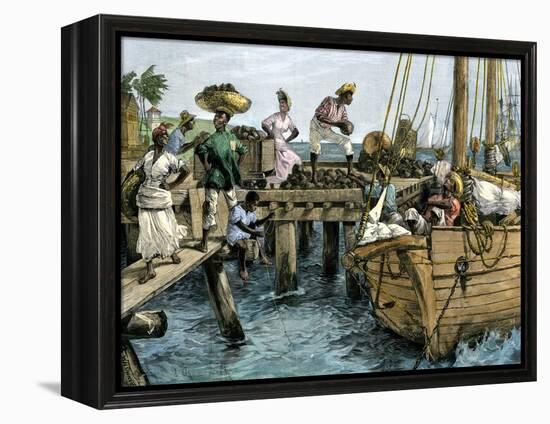 Natives Loading a Schooner with Coconuts at Kingston, Jamaica-null-Framed Premier Image Canvas