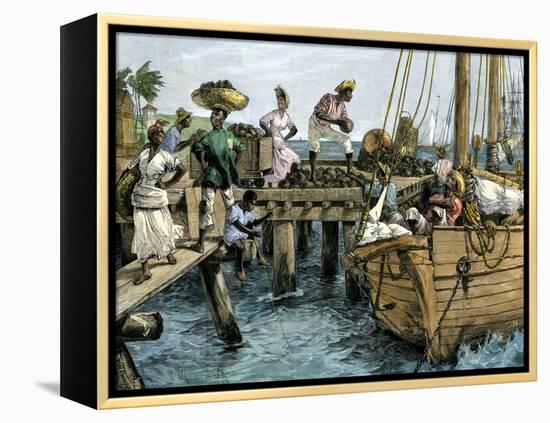 Natives Loading a Schooner with Coconuts at Kingston, Jamaica-null-Framed Premier Image Canvas