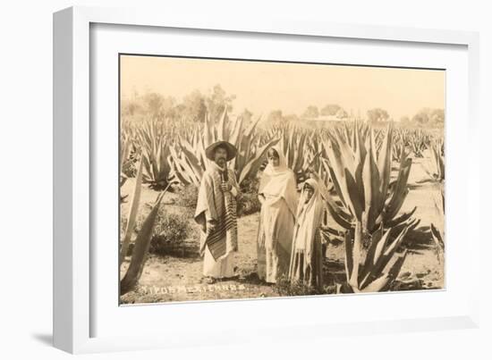 Natives on Maguey Plantation, Mexico-null-Framed Premium Giclee Print