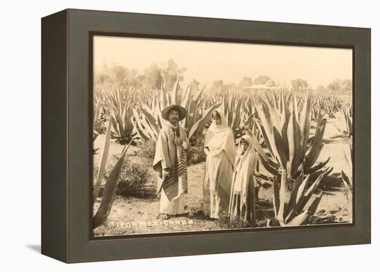 Natives on Maguey Plantation, Mexico-null-Framed Stretched Canvas